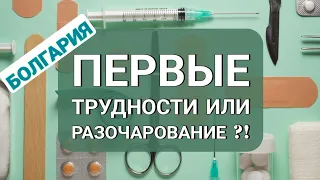 Переезд в Болгарию из Канады. Прогулка в Софии, селе.