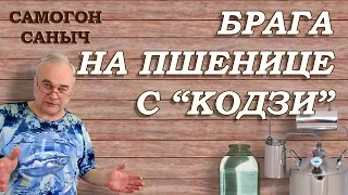 БРАГА НА ПШЕНИЦЕ, дрожжи Кодзи и... ШОК! / Рецепты  самогона, браги / Самогон Саныч