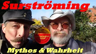 Surströming Mythos und Wahrheit Ed und Helmut testen