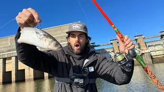 Giant Spillway Was Hiding a HUGE SURPRISE For Us! — BIGGEST FISH He’s EVER SEEN…..