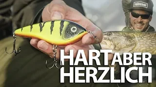 HART aber HERZLICH - Mit JERKBAIT auf HECHT