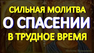 Просите помощи и защиты в эти трудные времена. Сильная молитва о спасении от беды, болезни и смерти