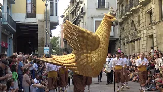 Seguici de les Festes de la Tardor , Lleida