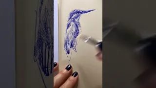 how to draw a Bird using bic ballpoint pen ✍🏻🖋️ #sketch #art