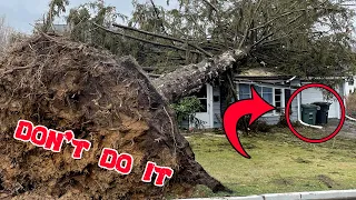 Extremely DANGEROUS Tree Felling Fails  - DEATH Calls Him? - Tree Falling on House