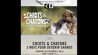 Emission CHIOTS et CHATONS du 4 oct 20