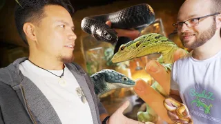 What possesses a man to build a Reptile Zoo in his house?