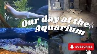 Our day at the Houston Aquarium #familyvlog #familytime #adayinourlife