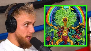 Jake Paul's Life-Changing Ayahuasca Trip & The Butterfly Effect