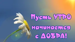 ПУСТЬ УТРО НАЧИНАЕТСЯ С ДОБРА🥰Музыкальная открытка для друзей 🎶 Очень красивая музыка Андрея Обидина