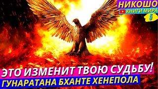 Как Каждый Твой Выбор Определяет Твою Судьбу На Самом Деле?!  НИКОШО и Гунаратана Бханте Хенепола