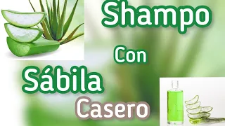 COMO HACER SHAMPOO DE SAVILA - Aloe verá  CASERO/ para un cabello hermoso 💆‍♀️🌵