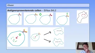 6 vwo | Afweer | 2 | Antigeen-presenterende cellen