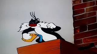 looney tunes Sylvester and Kangaroo are funny 🦘🐱 😄😅