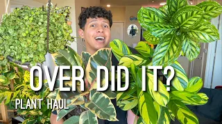 All the plants I got this Month | March 2024 Plant Haul!