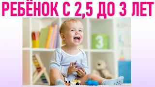 РАЗВИТИЕ РЕБЕНКА С 2,5 ДО 3 ЛЕТ | Маленькая личность