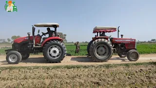 YTO Vs Massey 385 tochan mukabla | YTO tractor in Pakistan | YTO tractor all model