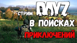 DAYZ | APOCALYPSE | КАЗУАЛ PVE | 1.20 | ПРОГУЛКА ПО ЧЕРНО