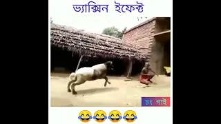 VACCINE  comedy (ভ্যাকসিন ইফেক্ট) New purulia comedy video🔥🔥🔥🔥🔥🔥 West Bengal #!!!!!! Comedy