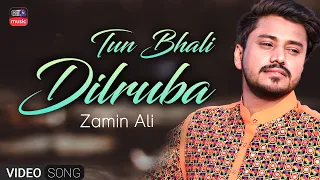 TU BHALI DILRUBA | ZAMIN ALI | SINDHI OLD SONG  | KTN MUSIC