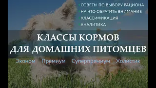 КЛАССЫ КОРМОВ [Как выбрать питание корм для кошек и собак] Классификация и советы без комерции