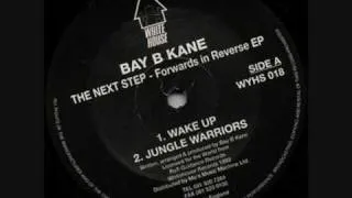 Bay B Kane - Wake Up