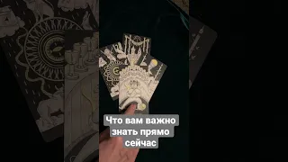 Что ВАЖНО знать прямо сейчас #tarot #shorts