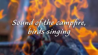 Relaksējoša ugunskura skaņa un nomierinoša putnu dziedāšana - 1 stunda skaņu skanēšanai mi