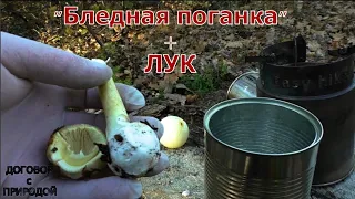 Если с БЛЕДНОЙ ПОГАНКОЙ сварить лук?