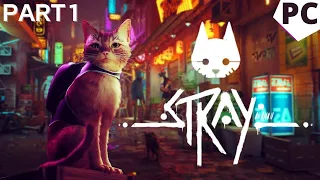 STRAY PS5 Gameplay Walkthrough Part 1 - INTRO (FULL GAME)