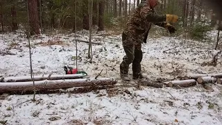 Опять валежник. 🥲