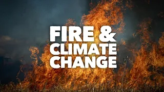 Yes, climate change is making Texas wildfires worse