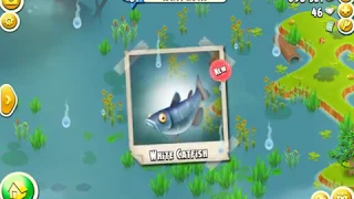 Hay Day - Learn to Catch White Catfish