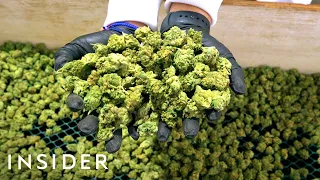 How Lowell Herb Co. Makes 4 Million Joints A Year