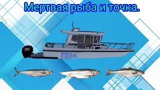 Норвежское мореПоймал акулу на мертвую рыбуРР4Русская рыбалка 4