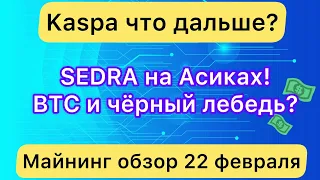 KASPA ЧТО ДАЛЬШЕ ? SEDRA НА АСИКАХ ❗️ МАЙНИНГ ОБЗОР 22 ФЕВРАЛЯ