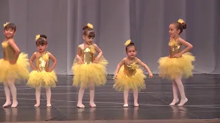 A flor amarela | Espetáculo Leilão de Jardim | Ballet Pedagógico Heloísa Negri