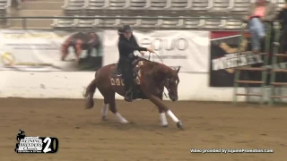 Xtra Taris Voodoo ridden by Marie Kleiner  - 2017 NRBC (Open Finals, Sec. 1)