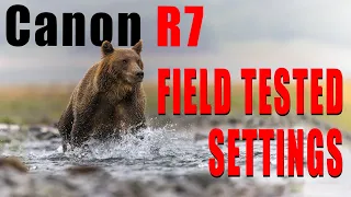 CANON R7 - Field Tested Settings and Button Layout for Bird and Wildlife Photography