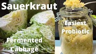 How to Make Homemade Sauerkraut/ Probiotic Fermented Cabbage /Just 2 Ingredient !! For Healthy Gut