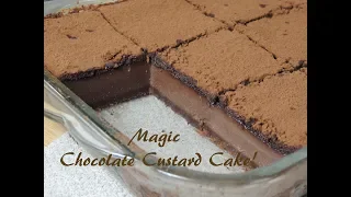 Magic Chocolate Custard Cake -Recipe- | Ep #142