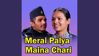 Merai Palya Maina Chari