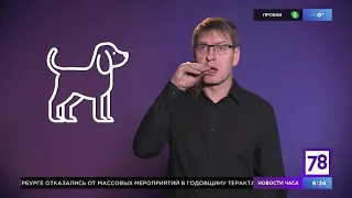 Об иконичности в РЖЯ ("Полезное утро", апрель 2020)