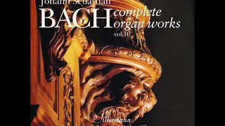 J. S. Bach - Complete Organ Works played on Silbermann Organs - CD 10/19