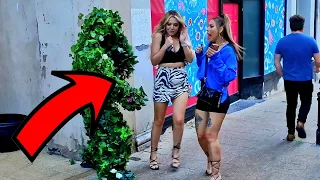 Bushman Prank: Best Summer Reactions 2022