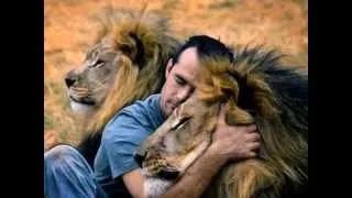 Kevin Richardson "L'homme aux Lions"