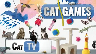 CAT Games | Ultimate Cat TV Compilation Vol 37 | 2 HOURS 🐝🐞🦋🦎🦜🐜🐭🧵