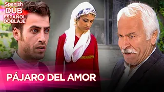 Pajaro Del Amor | Película Turca Doblaje Español