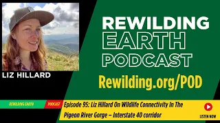 Episode 95: Liz Hillard On Wildlife Connectivity In The Pigeon River Gorge – Interstate 40 corridor