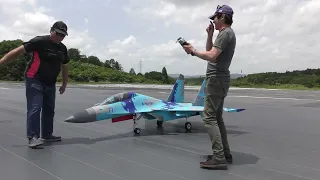 大きさがバグッている ラジコン飛行機 Su-27フランカー  ウクライナ空軍機 山岳部に墜落 パイロットに無事を確認